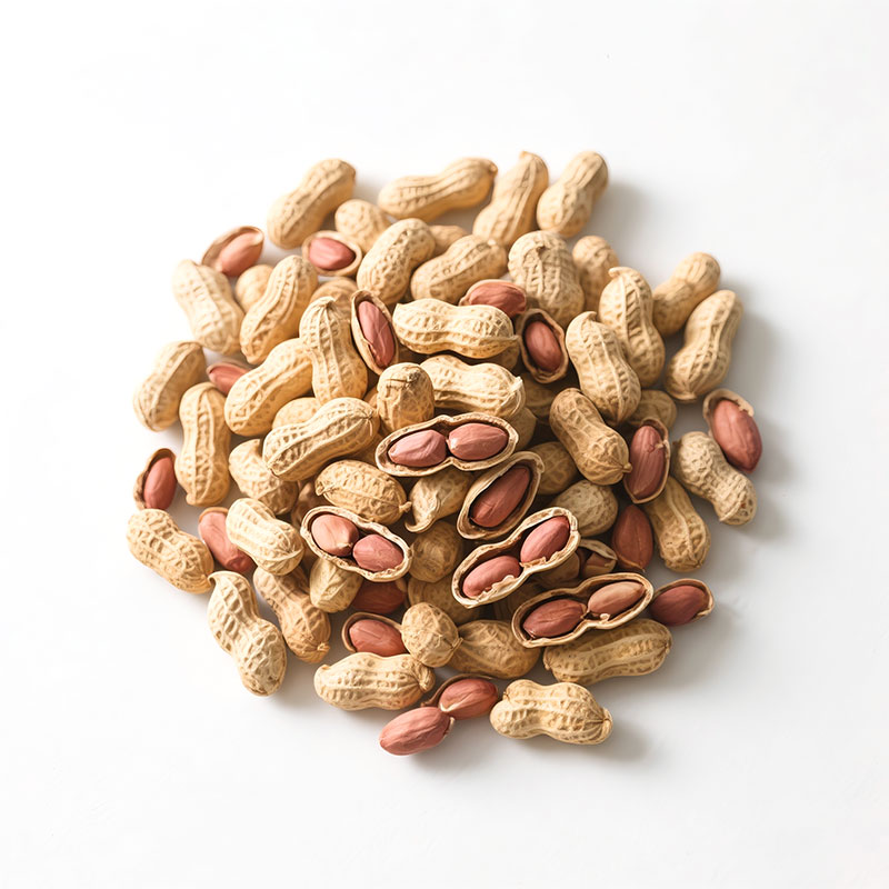 Peanut